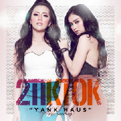 2TikTok - Yank Haus Mp3