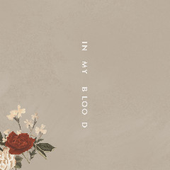 Shawn Mendes, Teddy Geiger, Geoff Warburton, Scott Harris - In My Blood Mp3